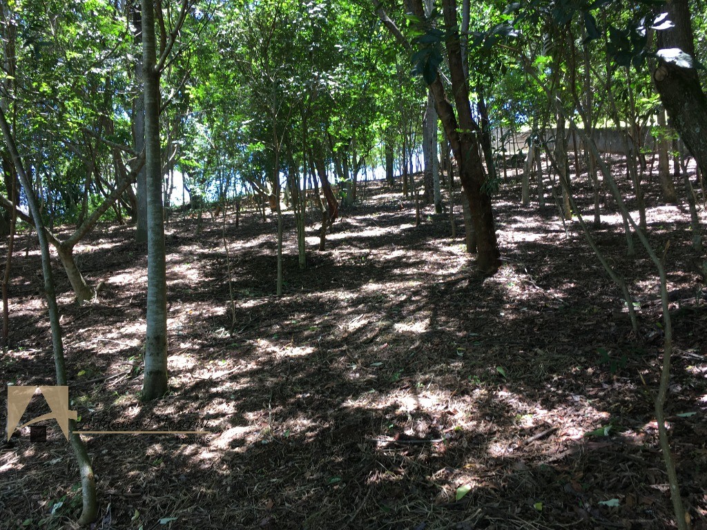 Terreno, 3200 m² - Foto 2