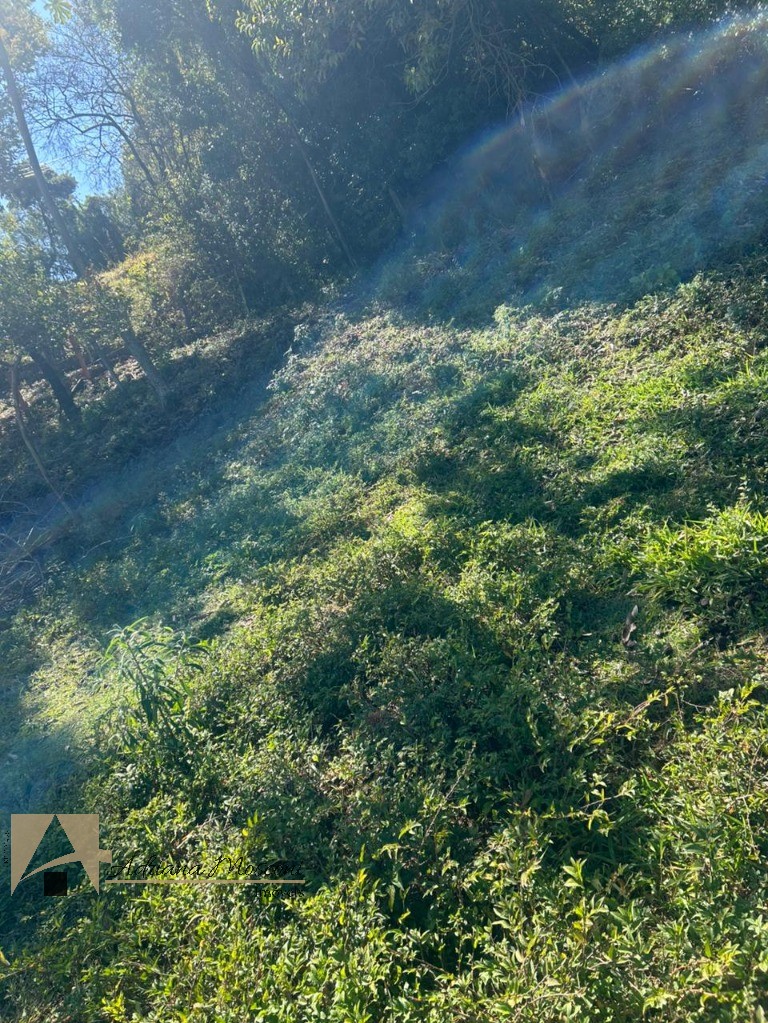 Terreno, 6100 m² - Foto 22