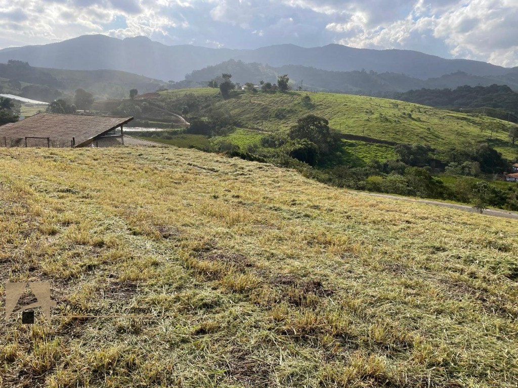 Terreno, 1000 m² - Foto 2