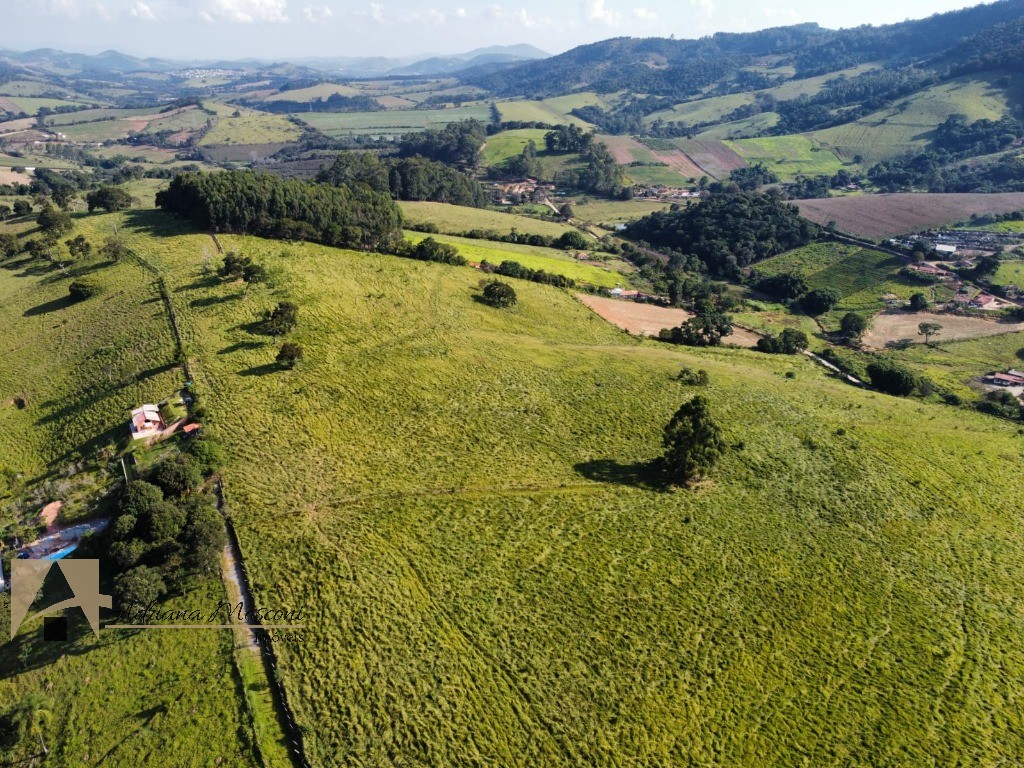 Sítio, 3 quartos, 6 hectares - Foto 67