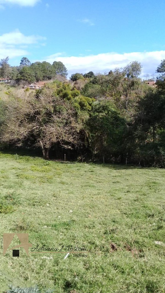 Sítio, 2 quartos - Foto 12