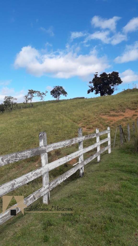 Sítio, 3 quartos, 6 hectares - Foto 16
