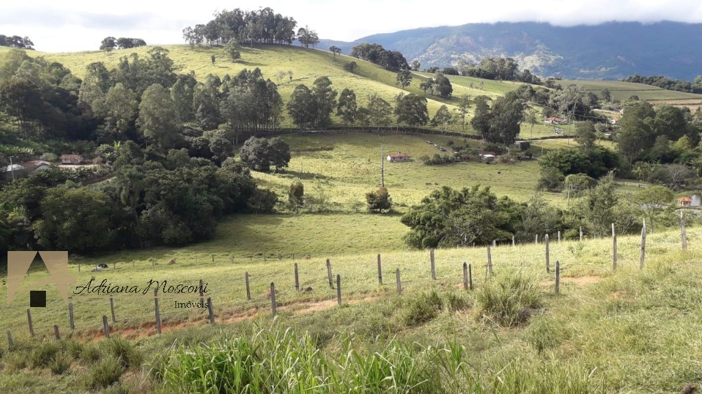 Sítio, 3 quartos, 6 hectares - Foto 4