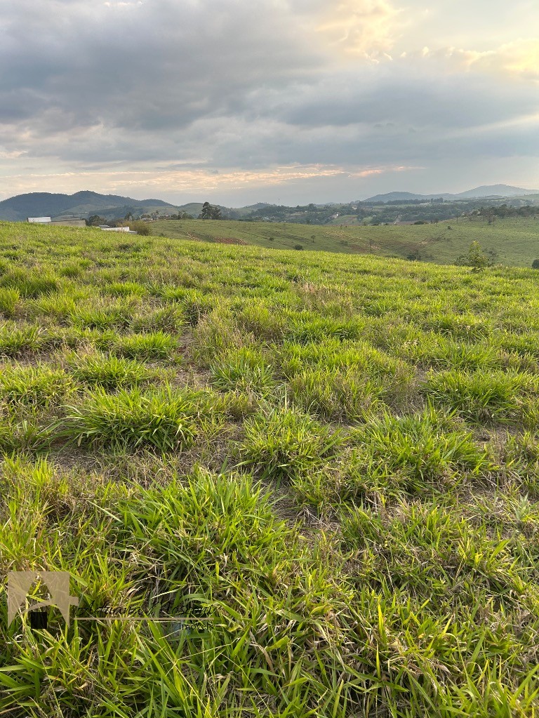 Terreno, 1040 m² - Foto 12