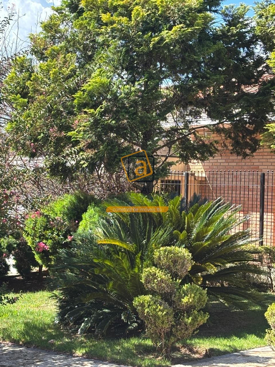 Casa, 4 quartos - Foto 4