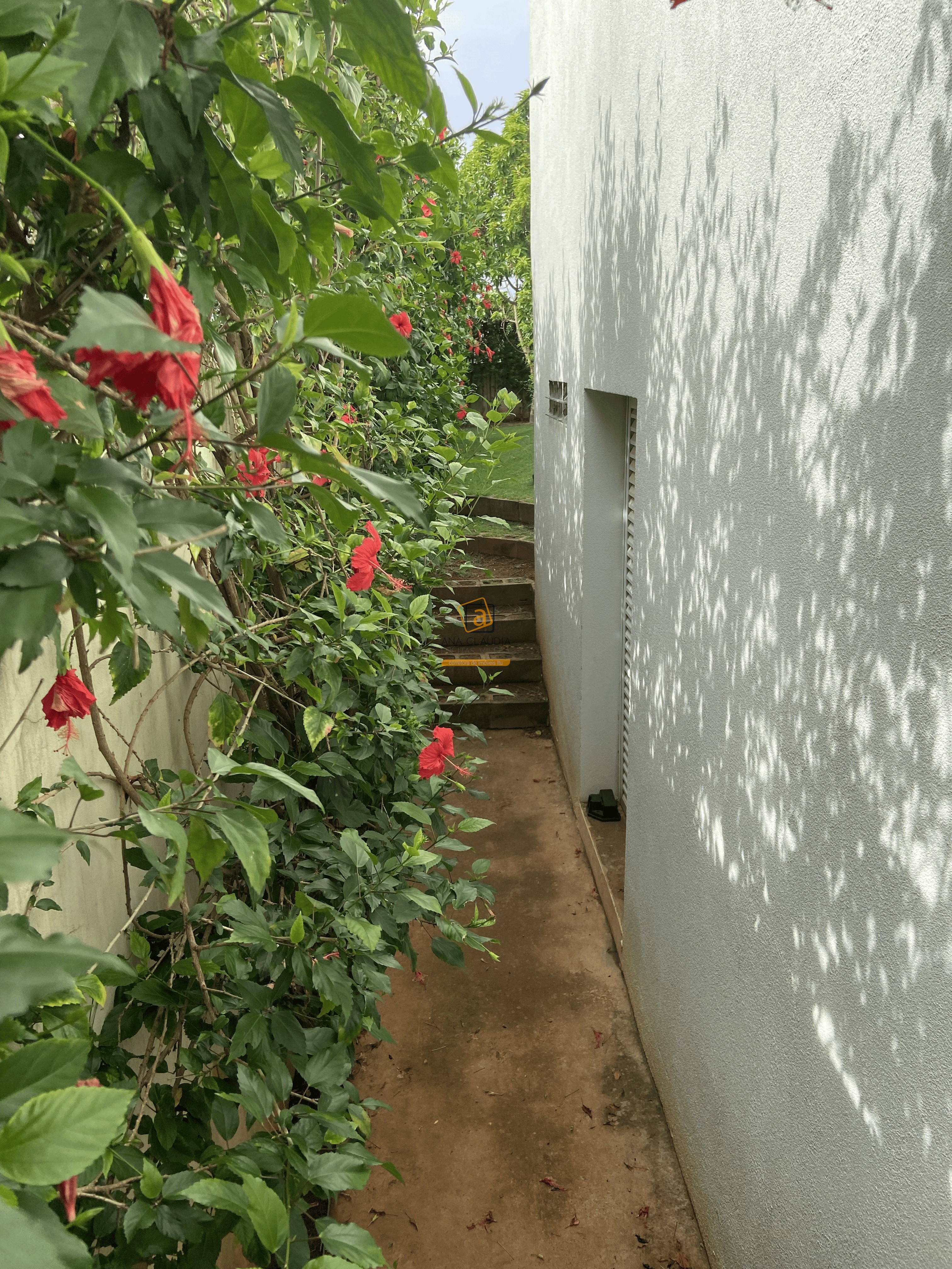 Casa, 4 quartos - Foto 35