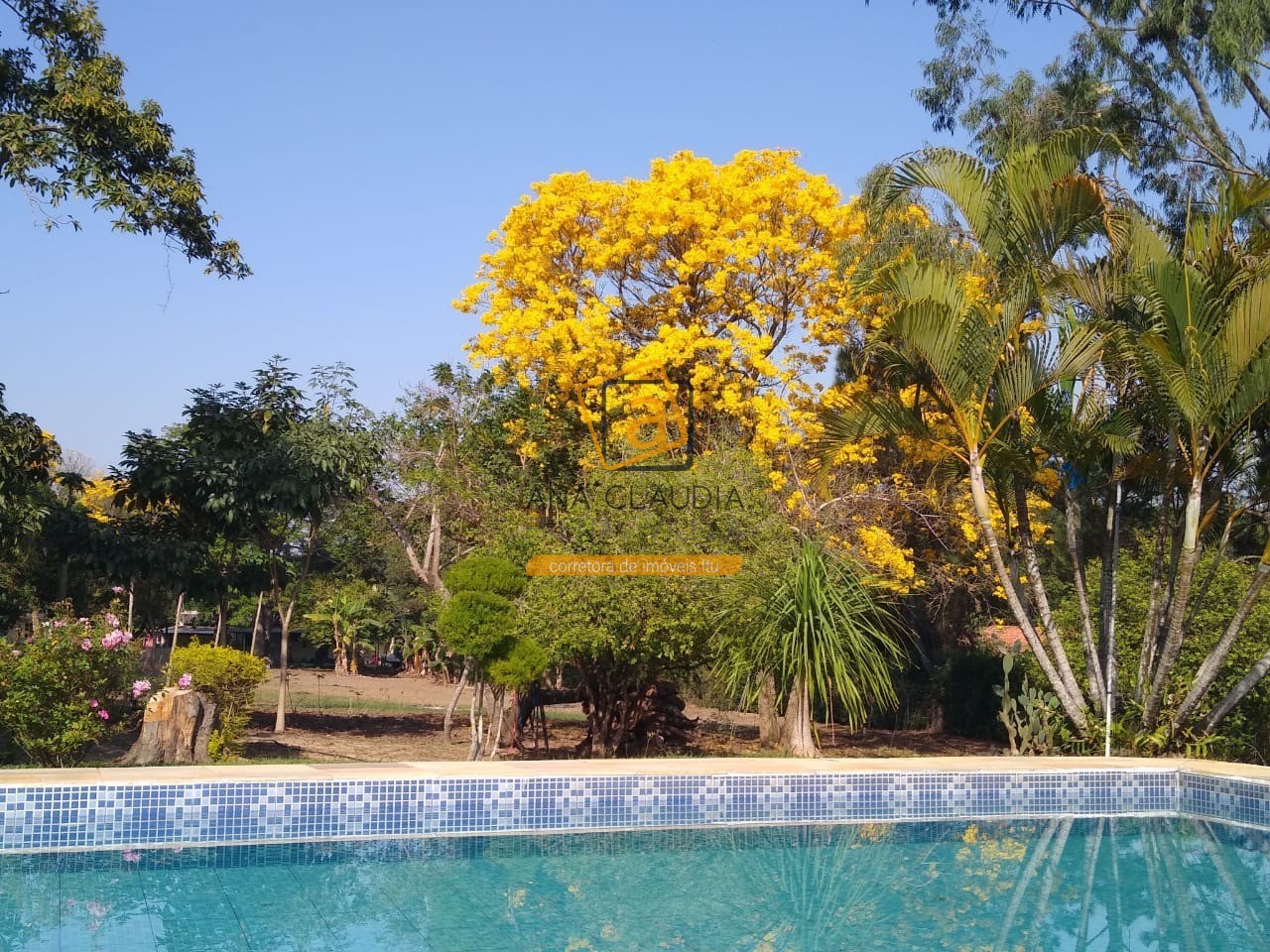 Chácara, 3 quartos - Foto 14