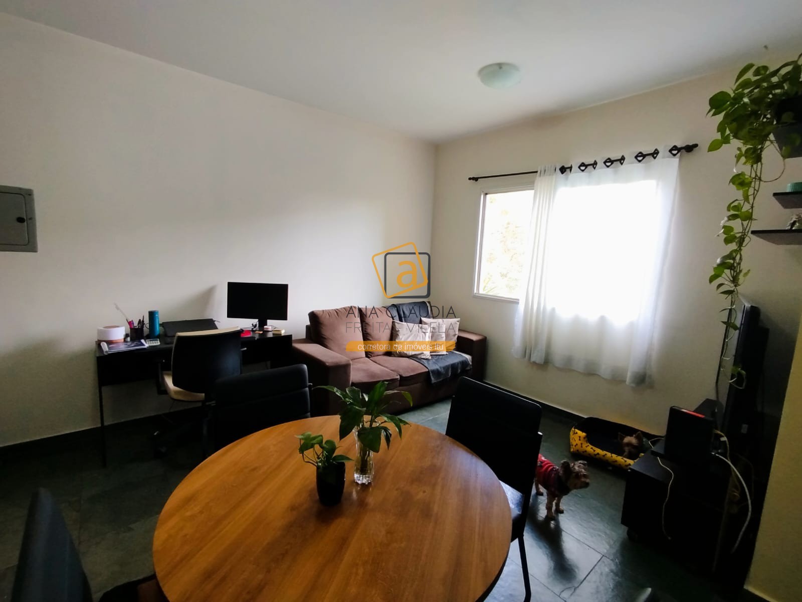 Apartamento, 3 quartos, 75 m² - Foto 6