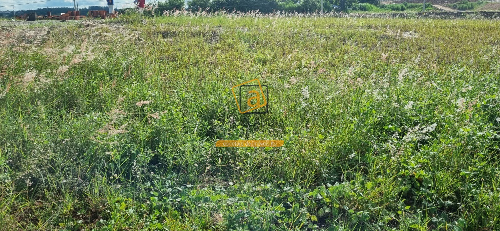 Terreno, 200 m² - Foto 5