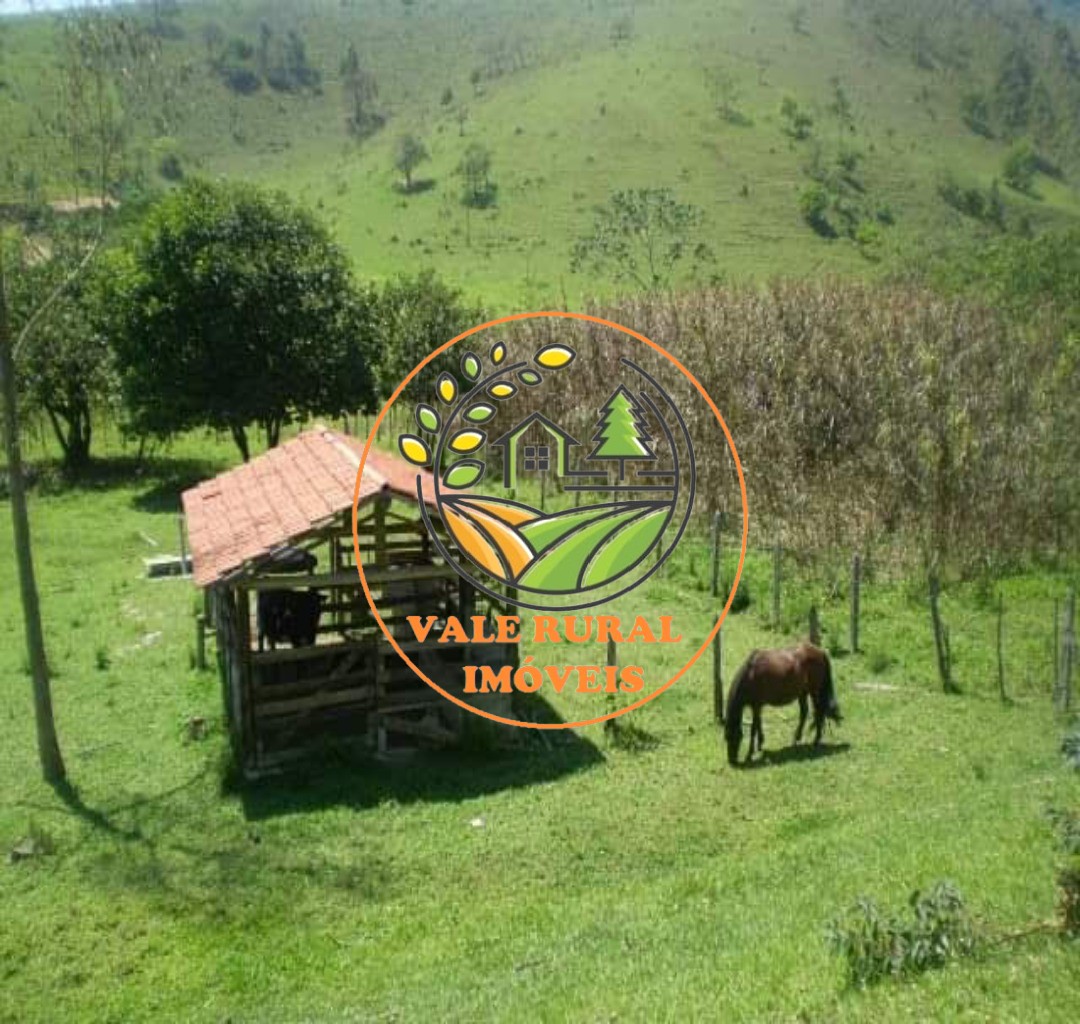 Chácara, 2 quartos, 3 hectares - Foto 8