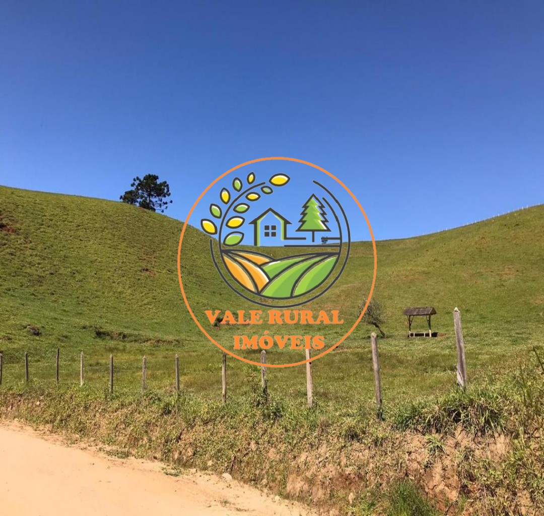 Fazenda, 16 hectares - Foto 8