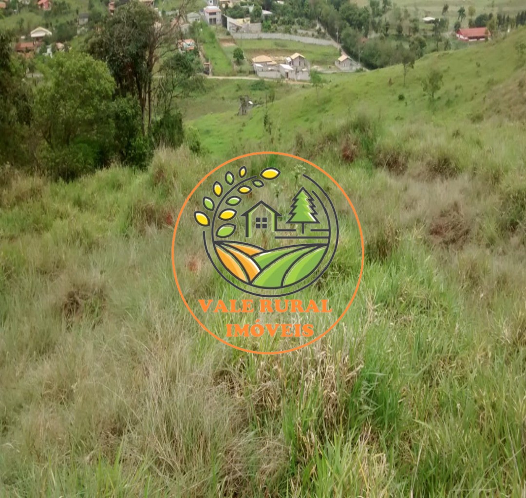 Sítio, 2 hectares - Foto 4