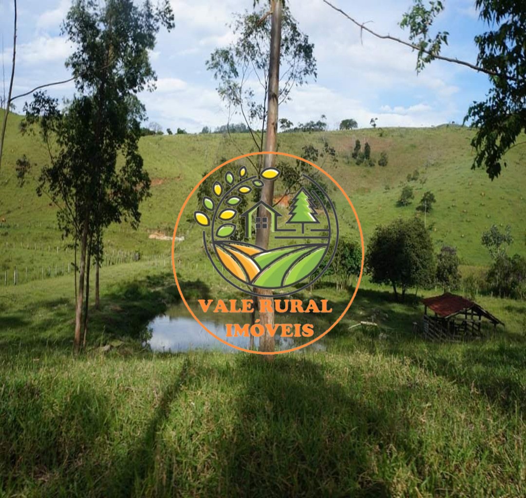 Chácara, 2 quartos, 3 hectares - Foto 9