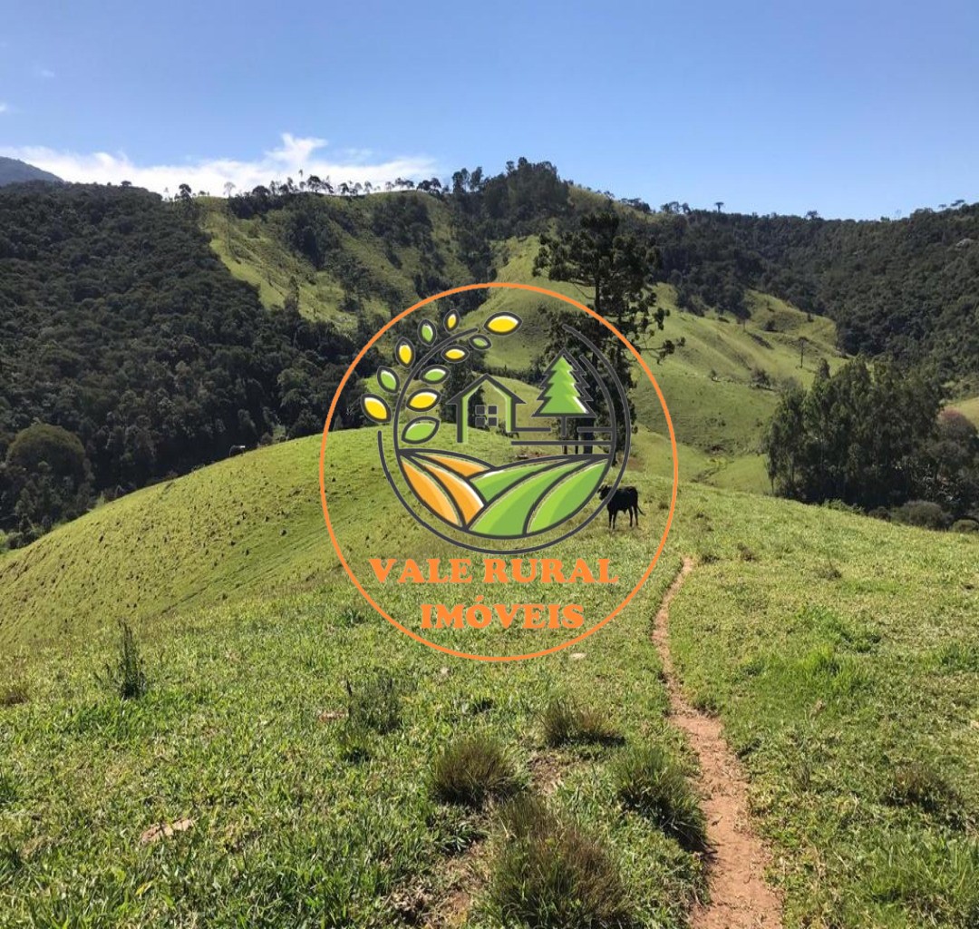 Fazenda, 16 hectares - Foto 1