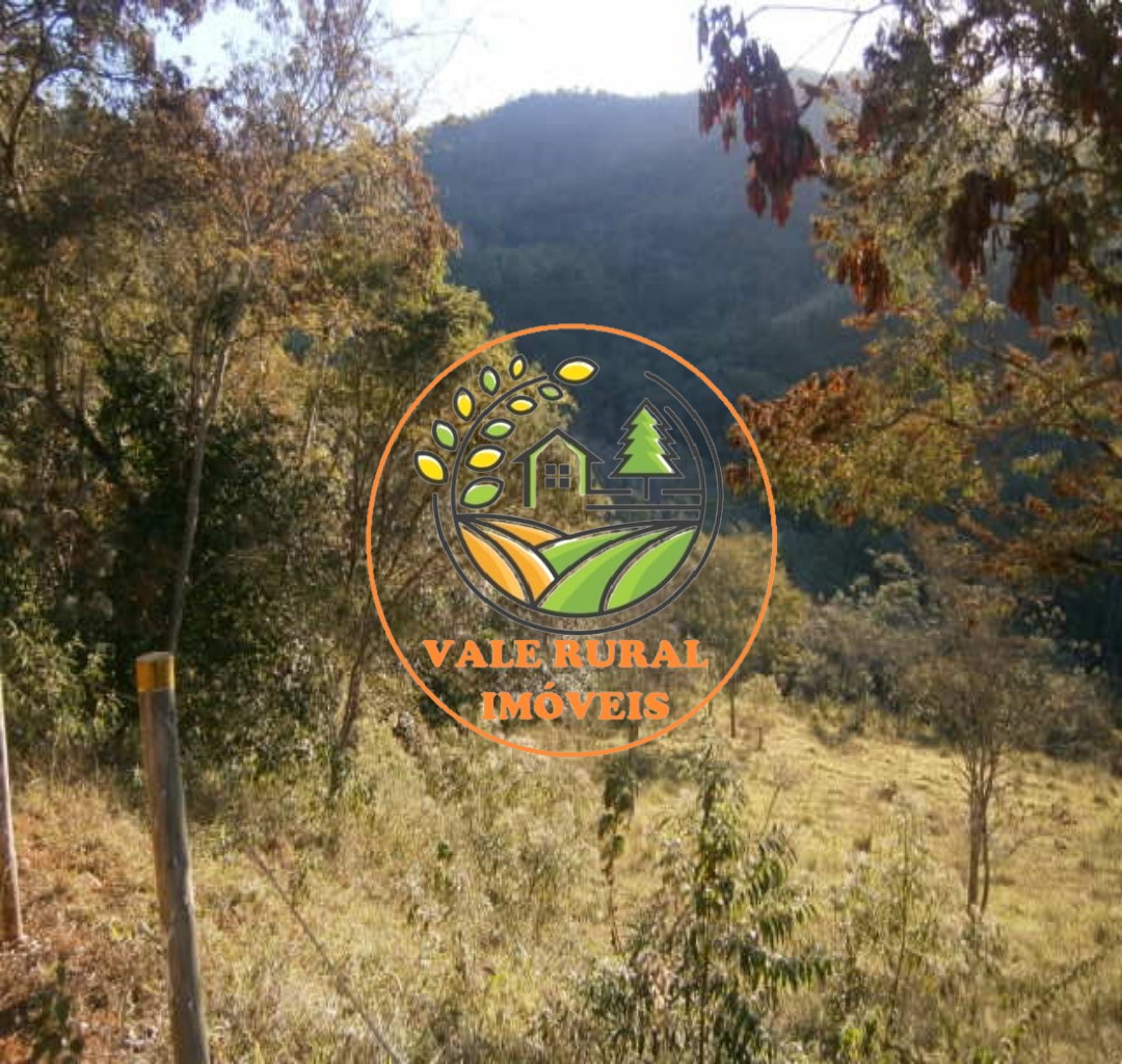 Fazenda, 108 hectares - Foto 5