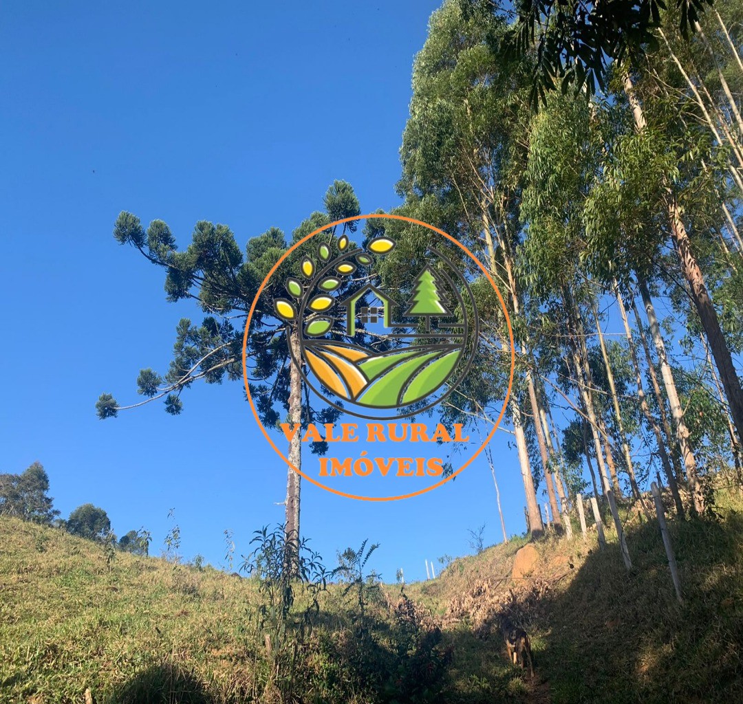 Fazenda, 4 hectares - Foto 6