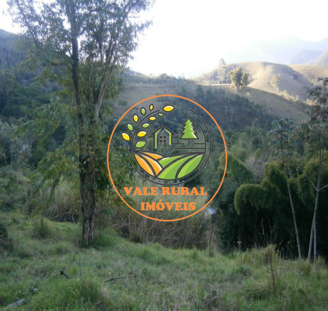 Fazenda, 108 hectares - Foto 10