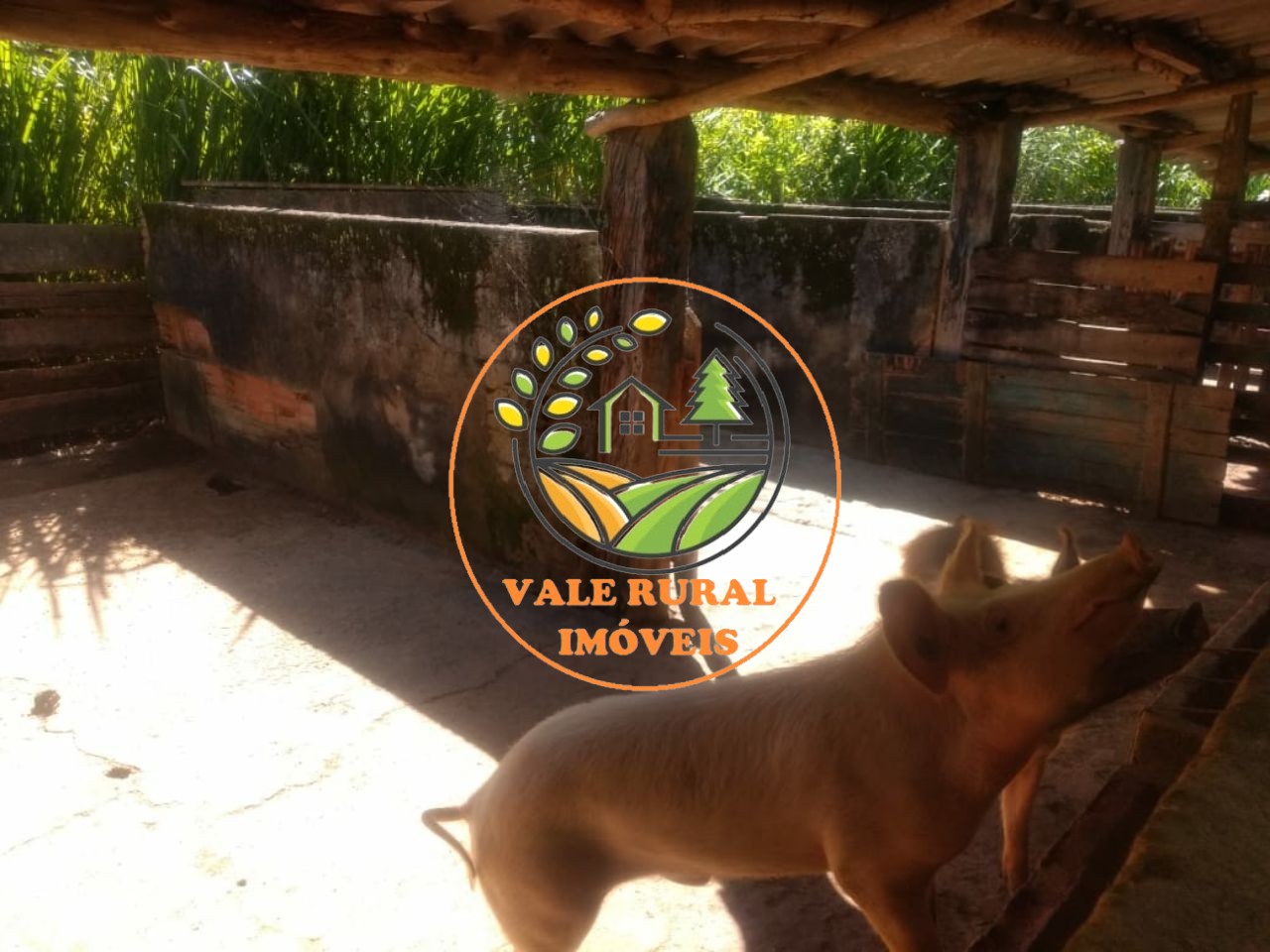 Fazenda, 134 m² - Foto 27