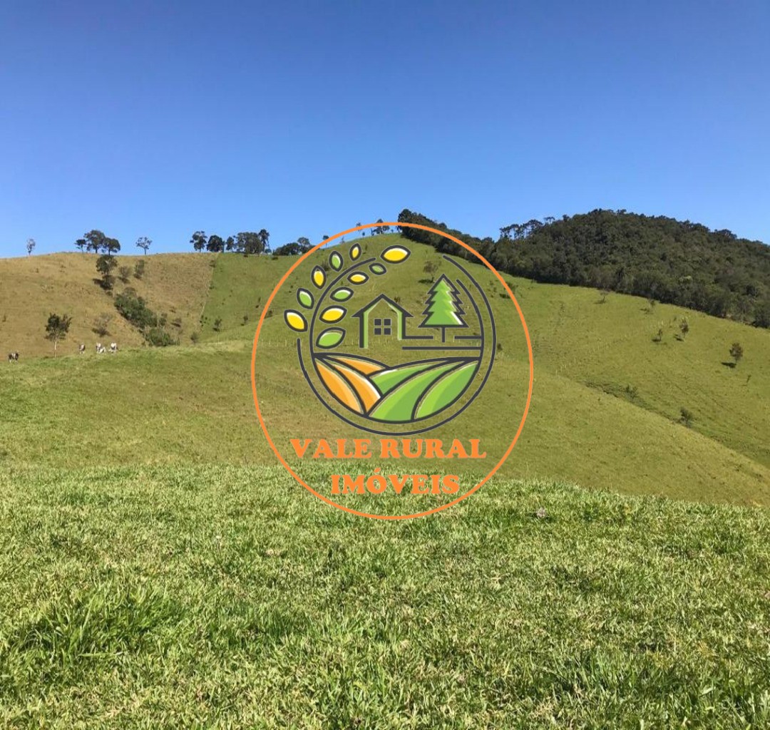 Fazenda, 16 hectares - Foto 6