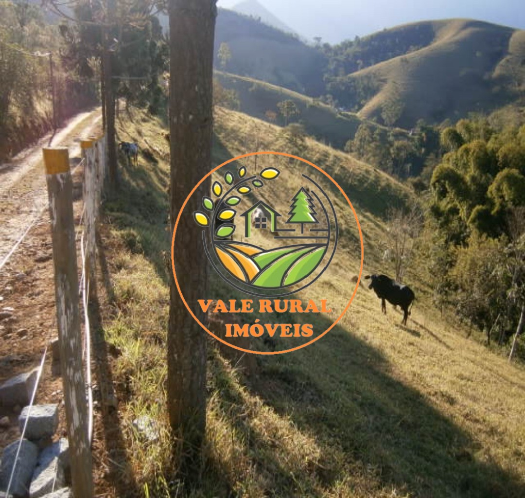 Fazenda, 108 hectares - Foto 4