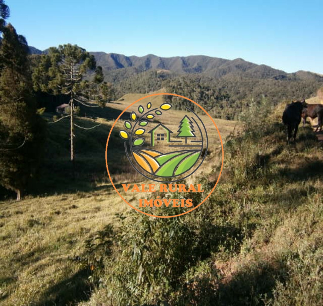 Fazenda, 295 m² - Foto 4