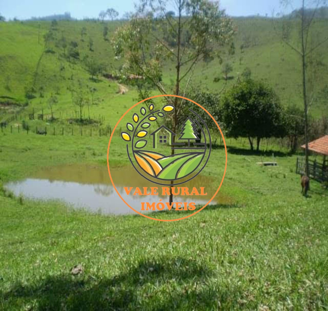 Chácara, 2 quartos, 3 hectares - Foto 7