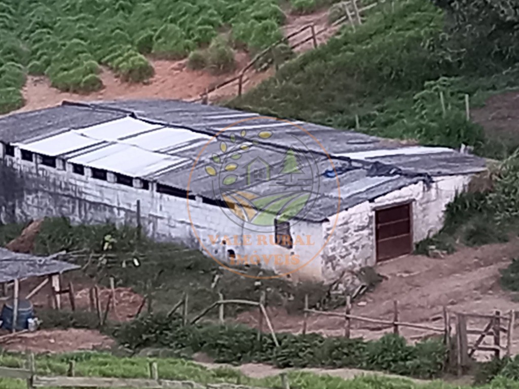 Sítio, 4 quartos, 11 hectares - Foto 7