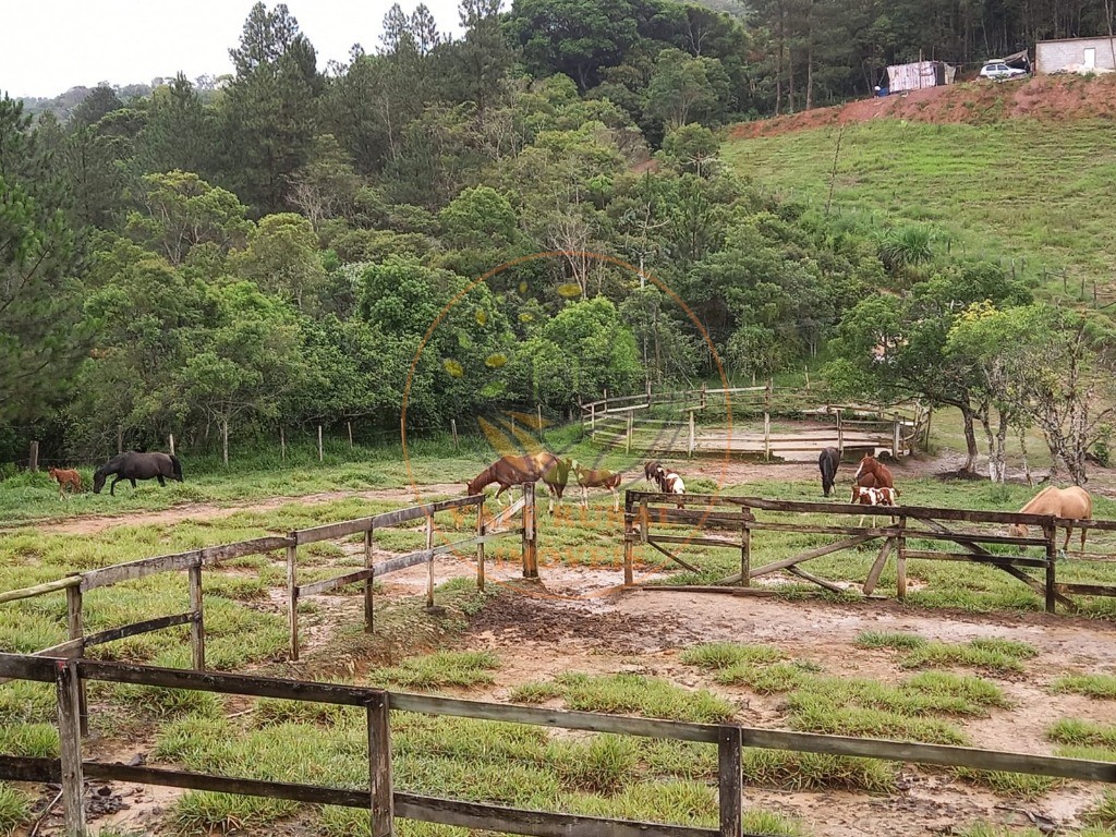 Sítio, 4 quartos, 11 hectares - Foto 1