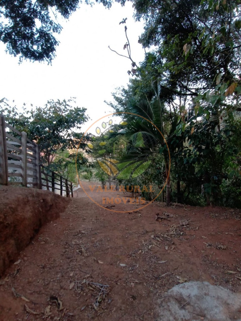 Sítio, 4 quartos, 2 hectares - Foto 18