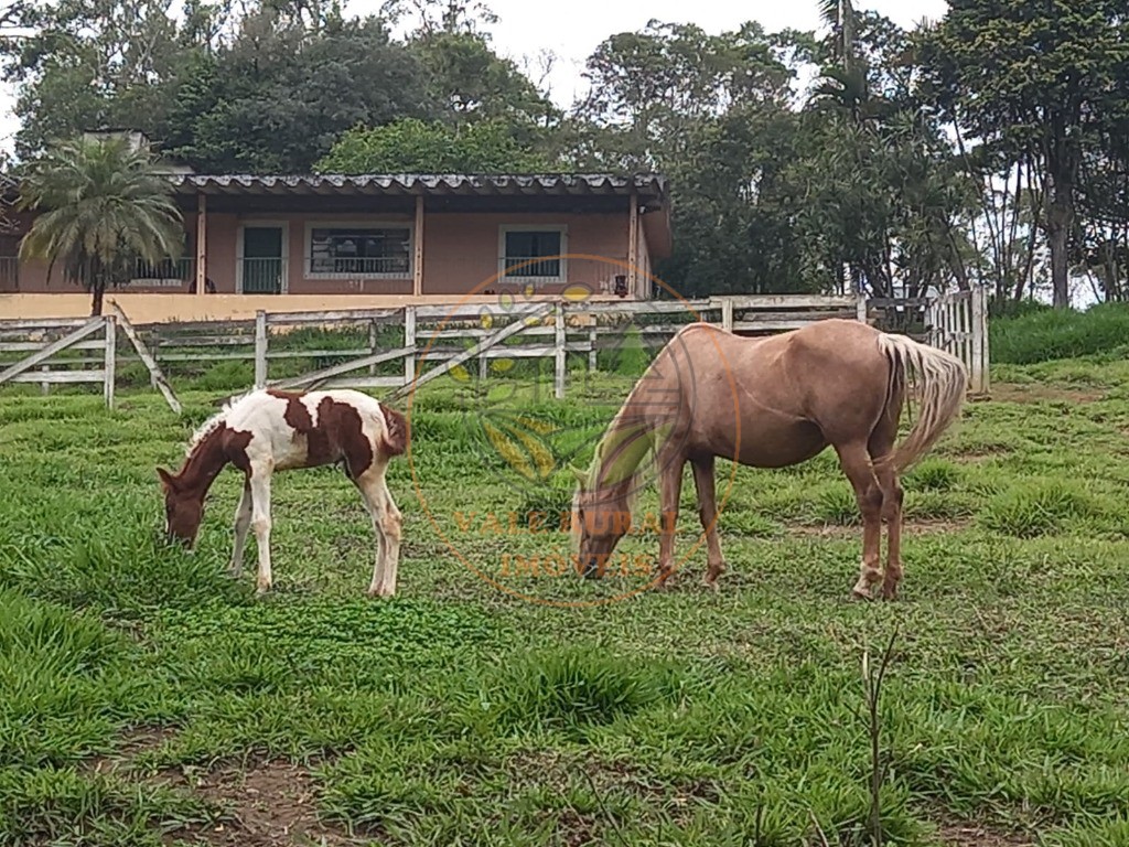 Sítio, 4 quartos, 11 hectares - Foto 6