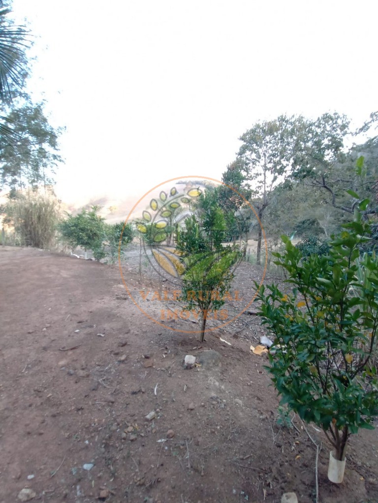 Sítio, 4 quartos, 2 hectares - Foto 15