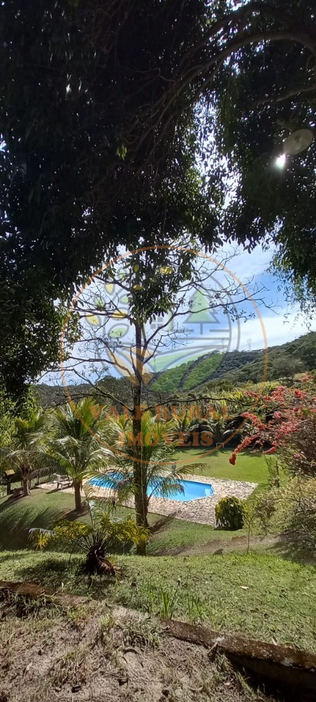 Chácara, 4 quartos, 2 hectares - Foto 11