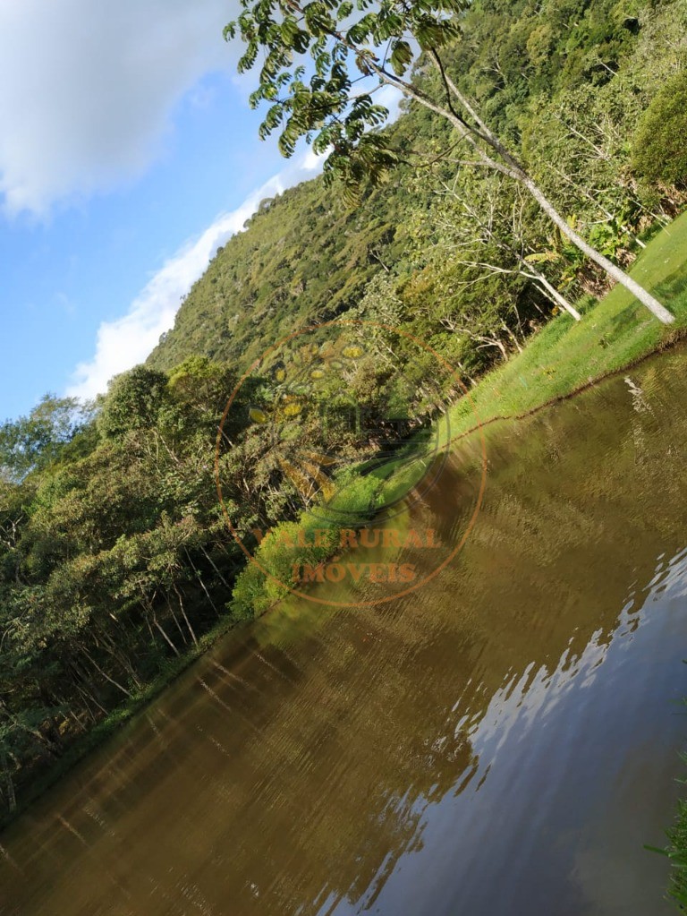 Chácara, 4 quartos, 2 hectares - Foto 7
