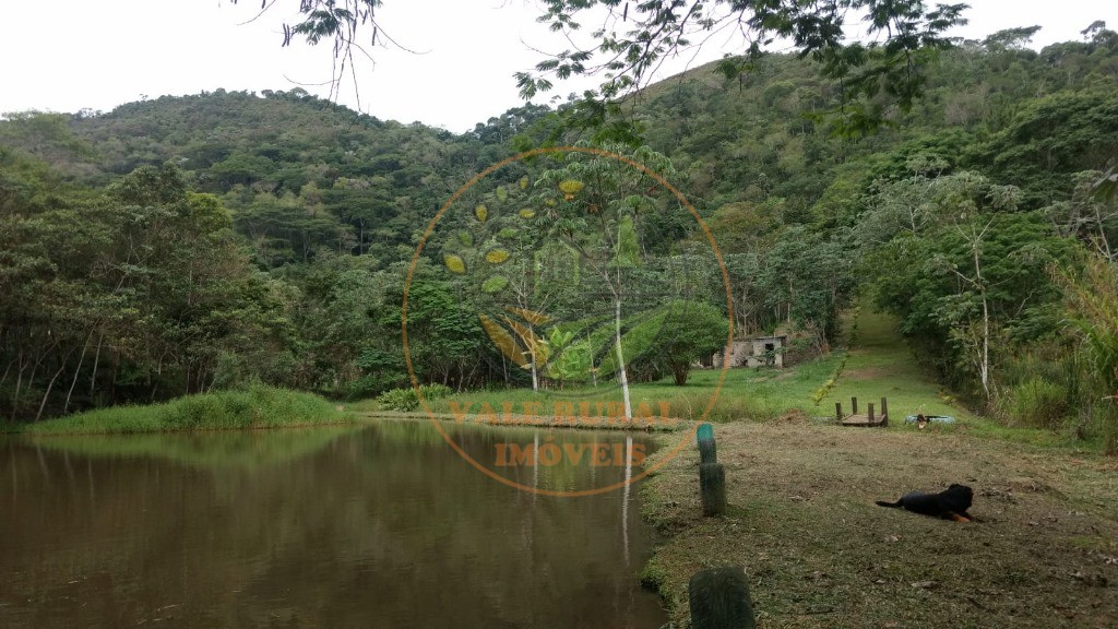 Chácara, 4 quartos, 2 hectares - Foto 4