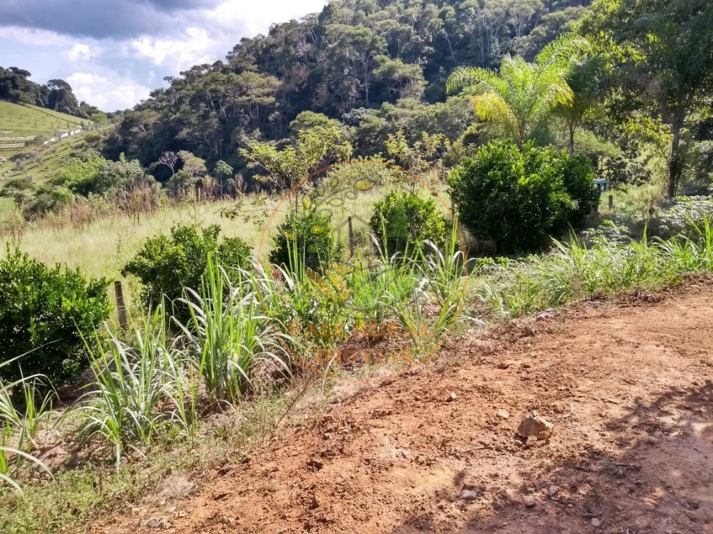 Sítio, 4 quartos, 2 hectares - Foto 4