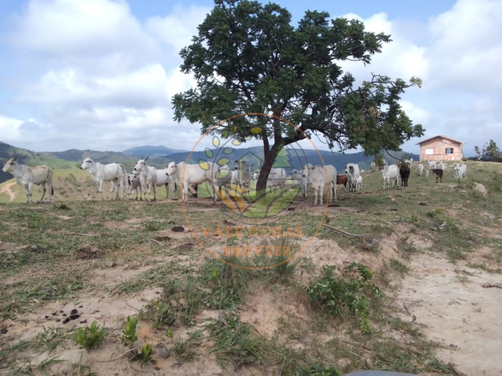 Fazenda, 40 m² - Foto 1