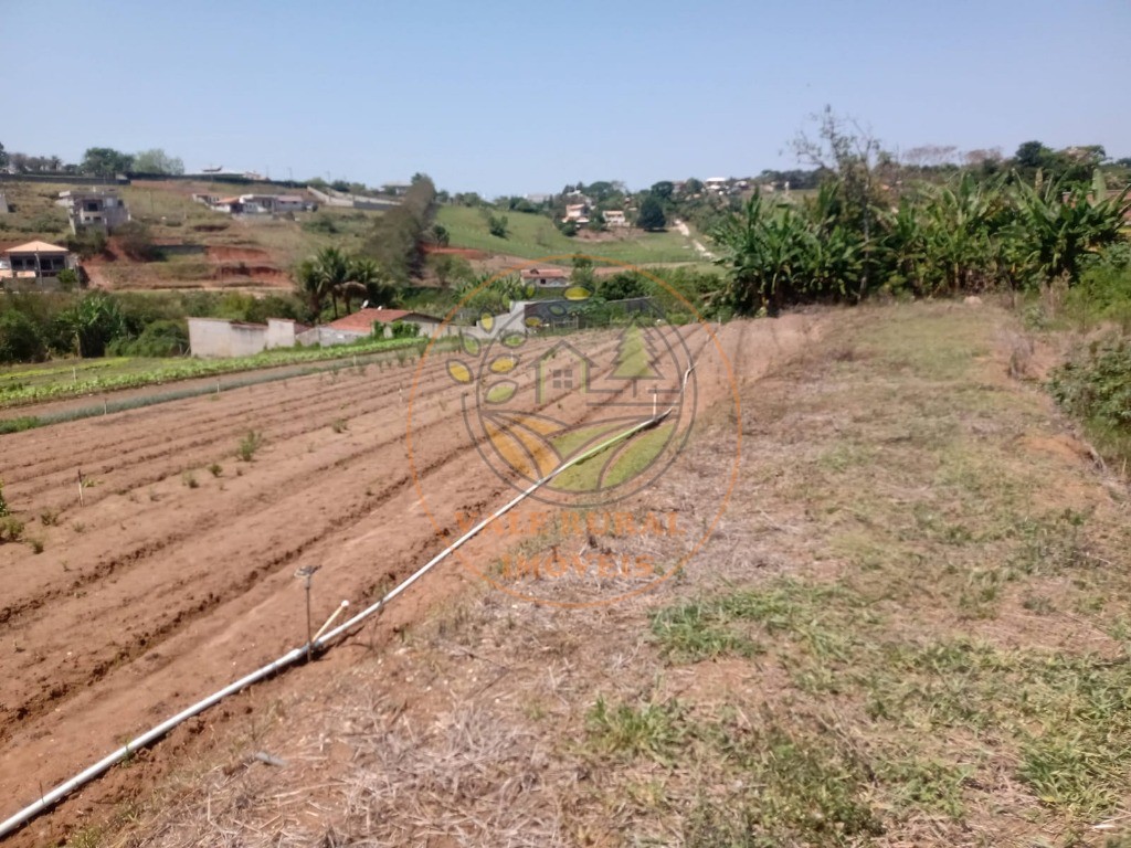Chácara, 4 quartos, 2 hectares - Foto 2