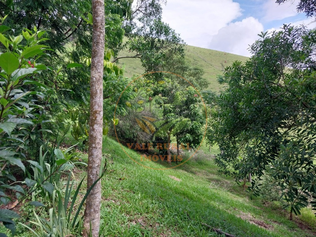 Sítio, 2 quartos, 3 hectares - Foto 35