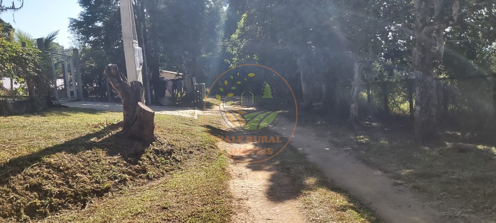 Chácara, 5 quartos, 6180 m² - Foto 10