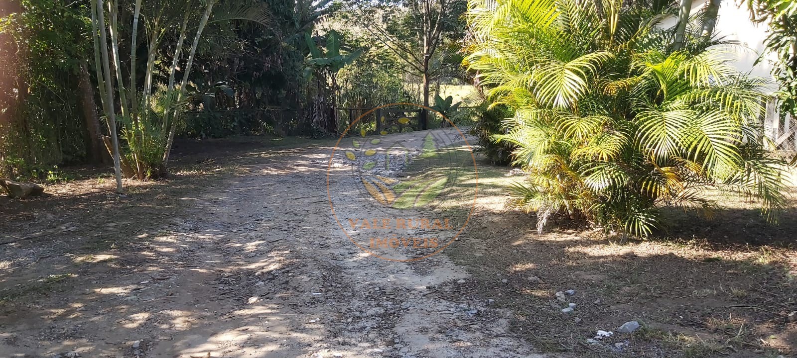 Chácara, 5 quartos, 6180 m² - Foto 31