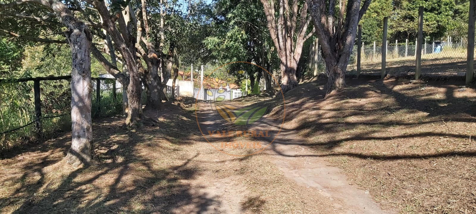 Chácara, 5 quartos, 6180 m² - Foto 30
