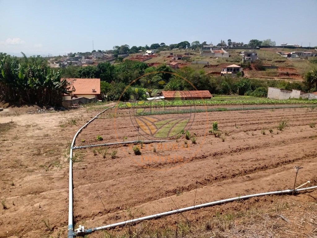 Chácara, 4 quartos, 2 hectares - Foto 6