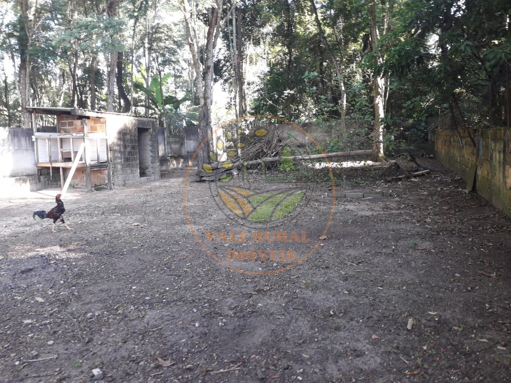 Chácara, 3 quartos, 3200 m² - Foto 5