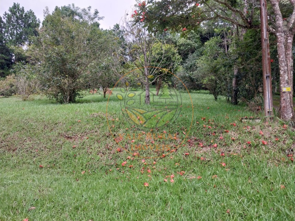 Sítio, 2 quartos, 3 hectares - Foto 4