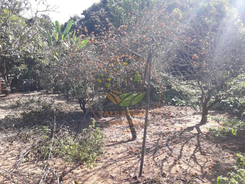 Chácara, 3 quartos, 3200 m² - Foto 6