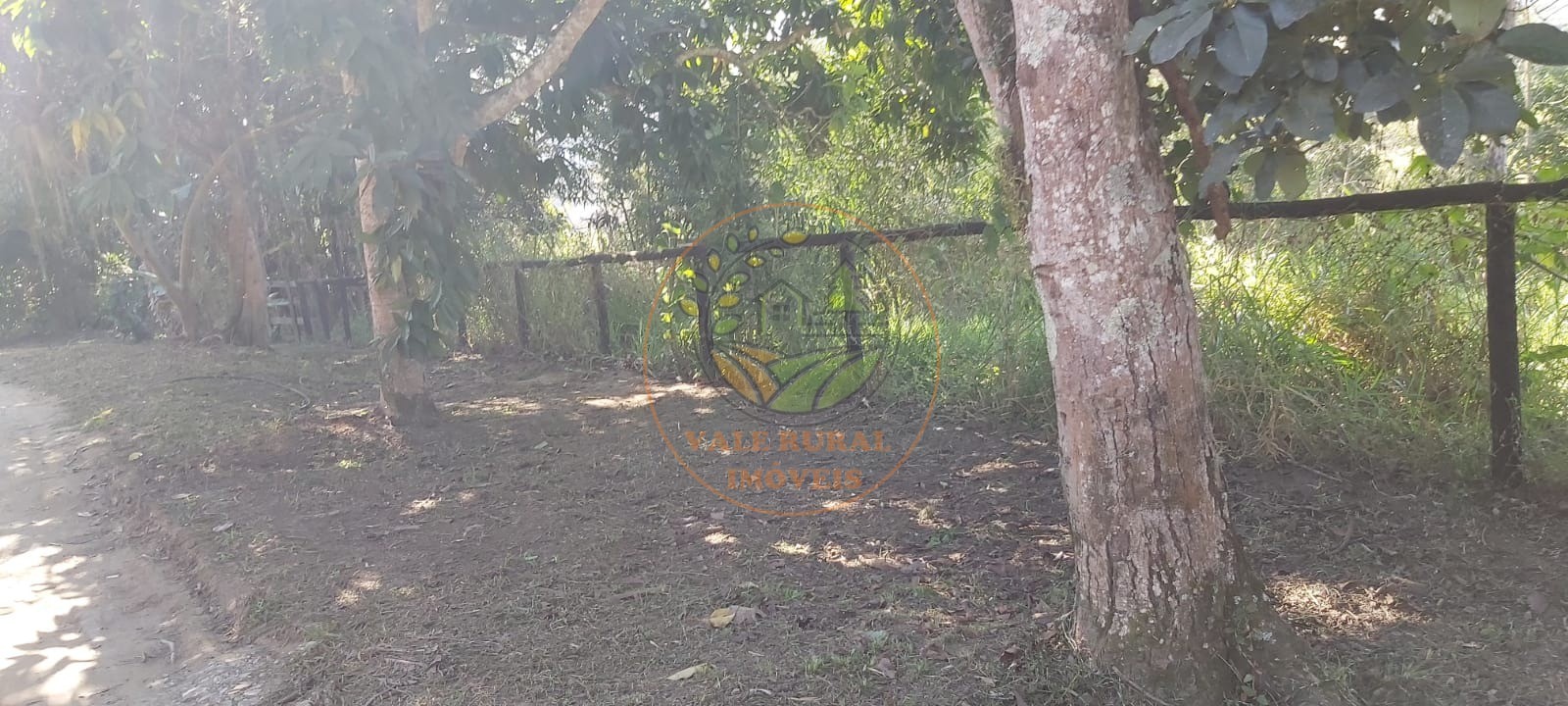 Chácara, 5 quartos, 6180 m² - Foto 34