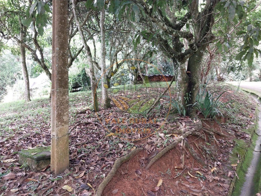 Sítio, 2 quartos, 3 hectares - Foto 18