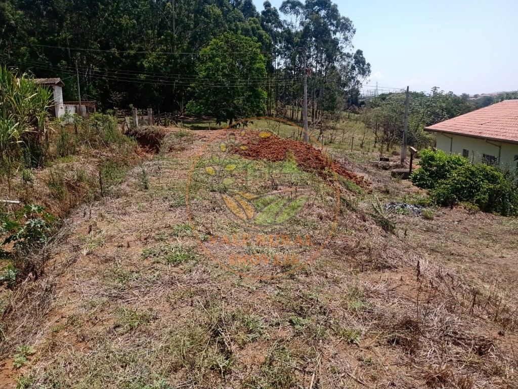 Chácara, 4 quartos, 2 hectares - Foto 3