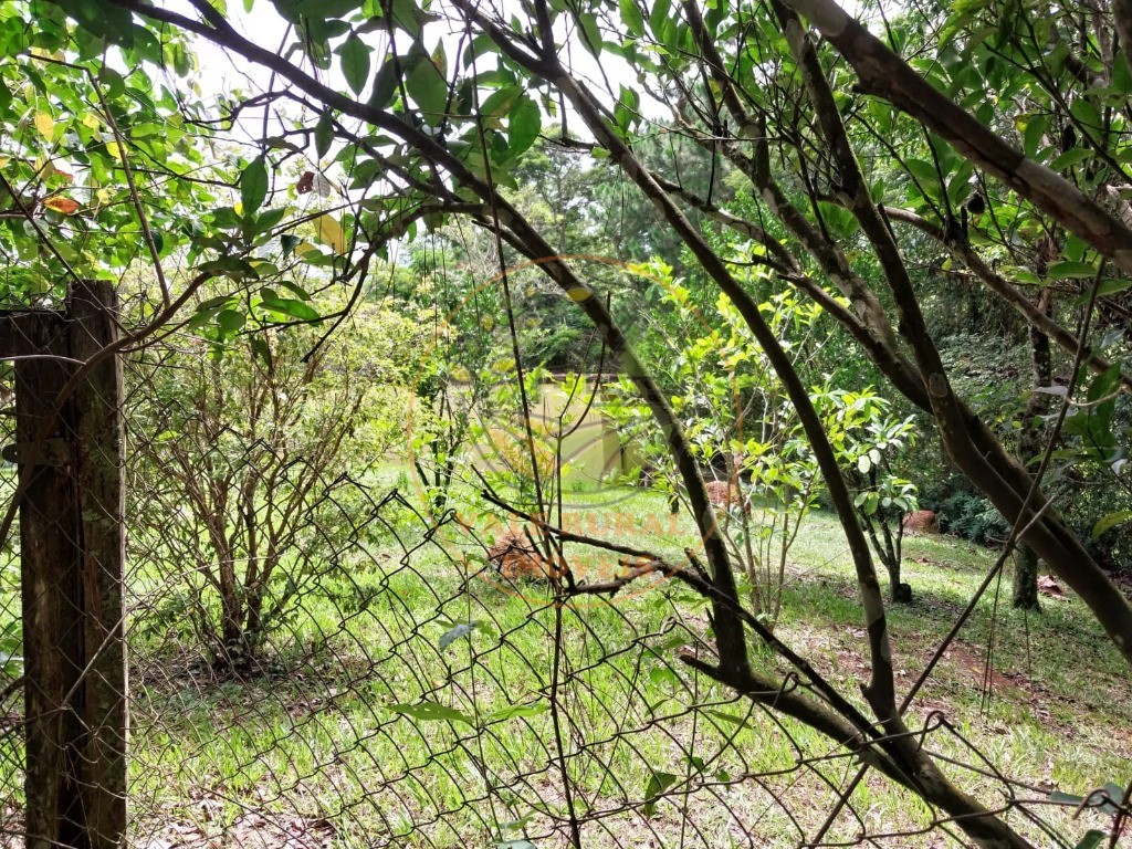 Sítio, 2 quartos, 3 hectares - Foto 40