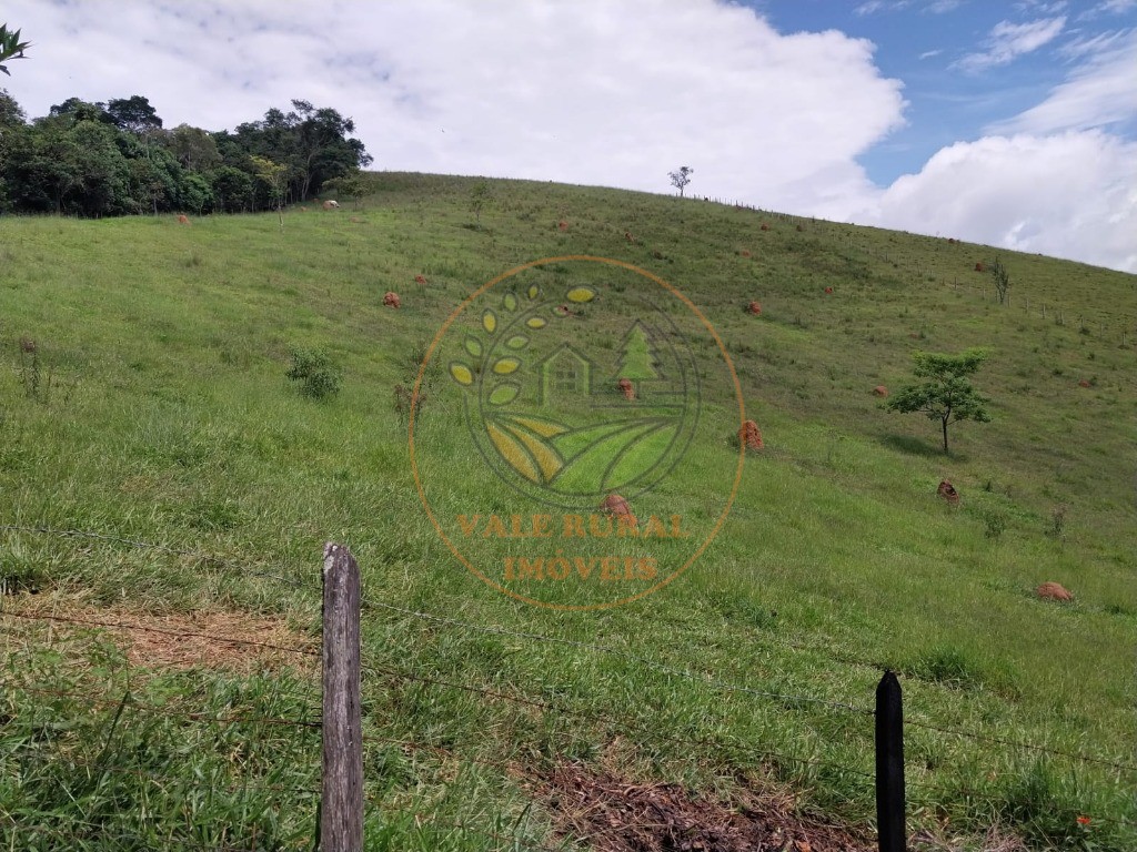 Sítio, 2 quartos, 3 hectares - Foto 30